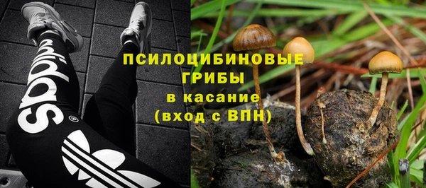 бошки Касимов