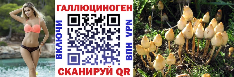 Купить где  Гаврилов-Ям  Галлюциногенные грибы GOLDEN TEACHER 